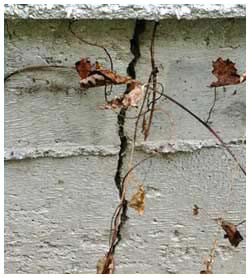 Slab foundation crack repair in Arlington, TX. ends problems.