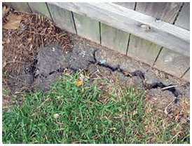 Summer weather that's hot can cause damaging foundation cracks in Dallas, Fort Worth. Repairs can be avoided by watering your foundation.