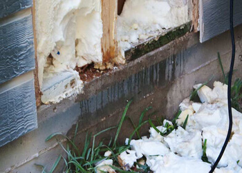 How A Plumbing Leak Can Affect House Foundations | HD Foundations