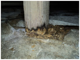Wooden beams, piers and other foundation components can make floors sag.