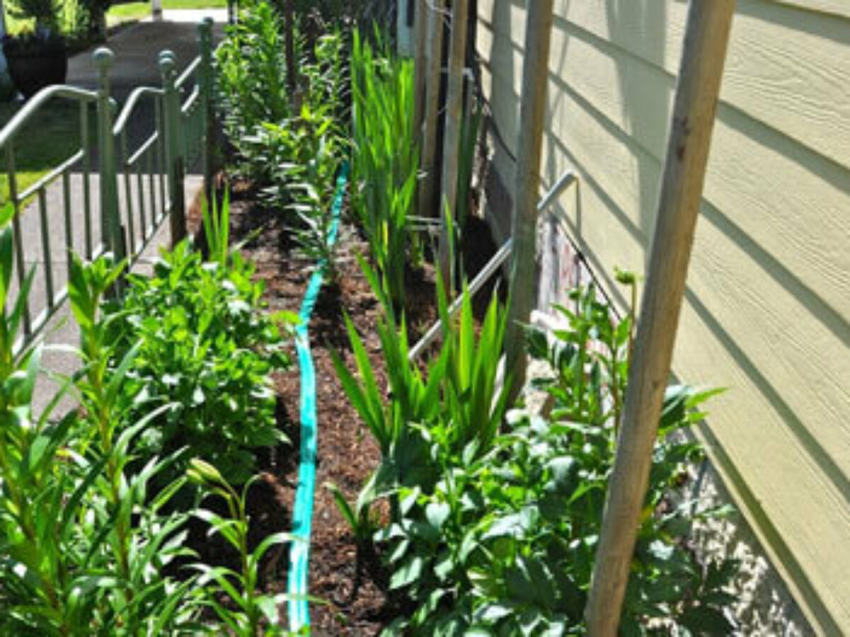 How To Use A Soaker Hose For Foundation Watering | HD Foundations