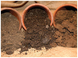 Types of Texas Soil