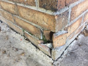 Foundation watering during cold weather