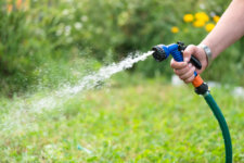 does watering your foundation help prevent foundation damage